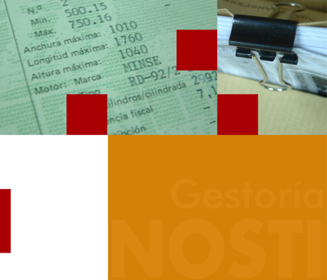 Gestor&iacute;a Nosti